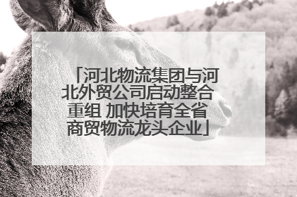 河北物流集团与河北外贸公司启动整合重组 加快培育全省商贸物流龙头企业